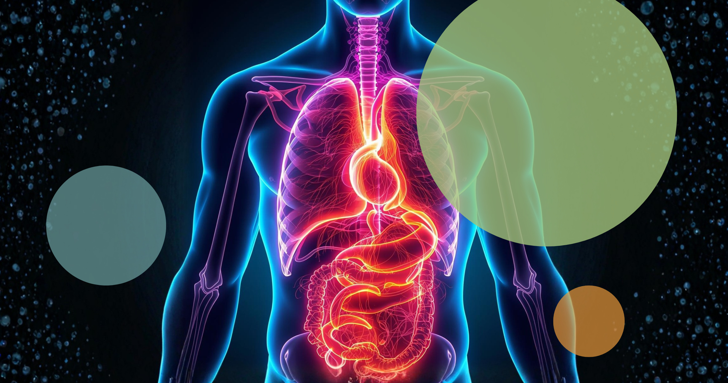 Awesome Anatomy<br/>Family Day