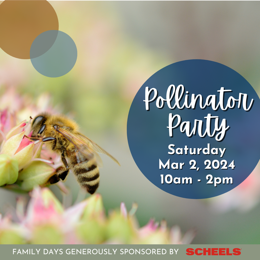 2024-Pollinator-Party-IG-Banner