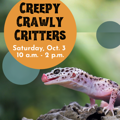 IG---October-2026---Creepy-Crawly-Critters