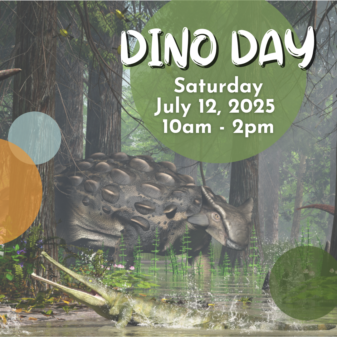IG---July-2025---Dino-Day