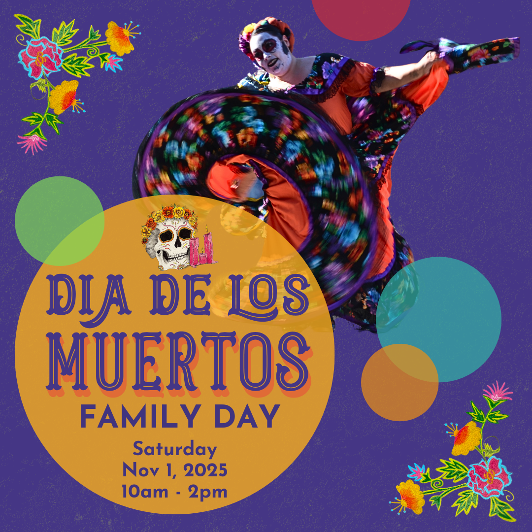 IG---Nov-2025---DDLM