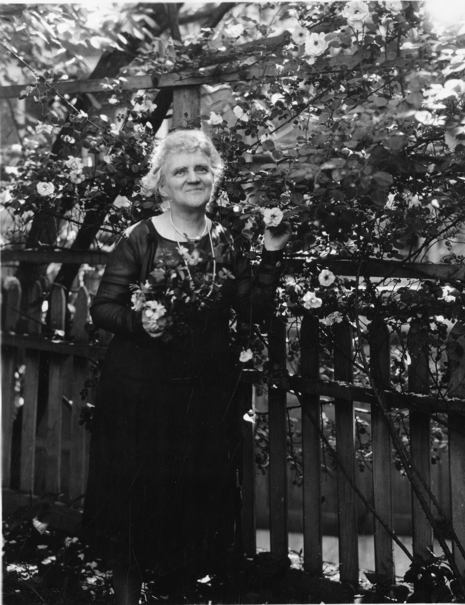 Woman stading along a fence surrounded by climbing roses